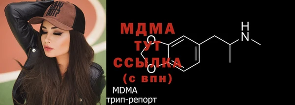 дмт Богданович