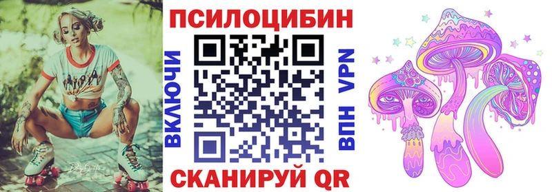 Купить  Сусуман  Галлюциногенные грибы MAGIC MUSHROOMS 